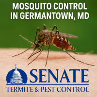 mosquito-control-germantown-md-backyard-treatment